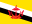 Brunei flagg